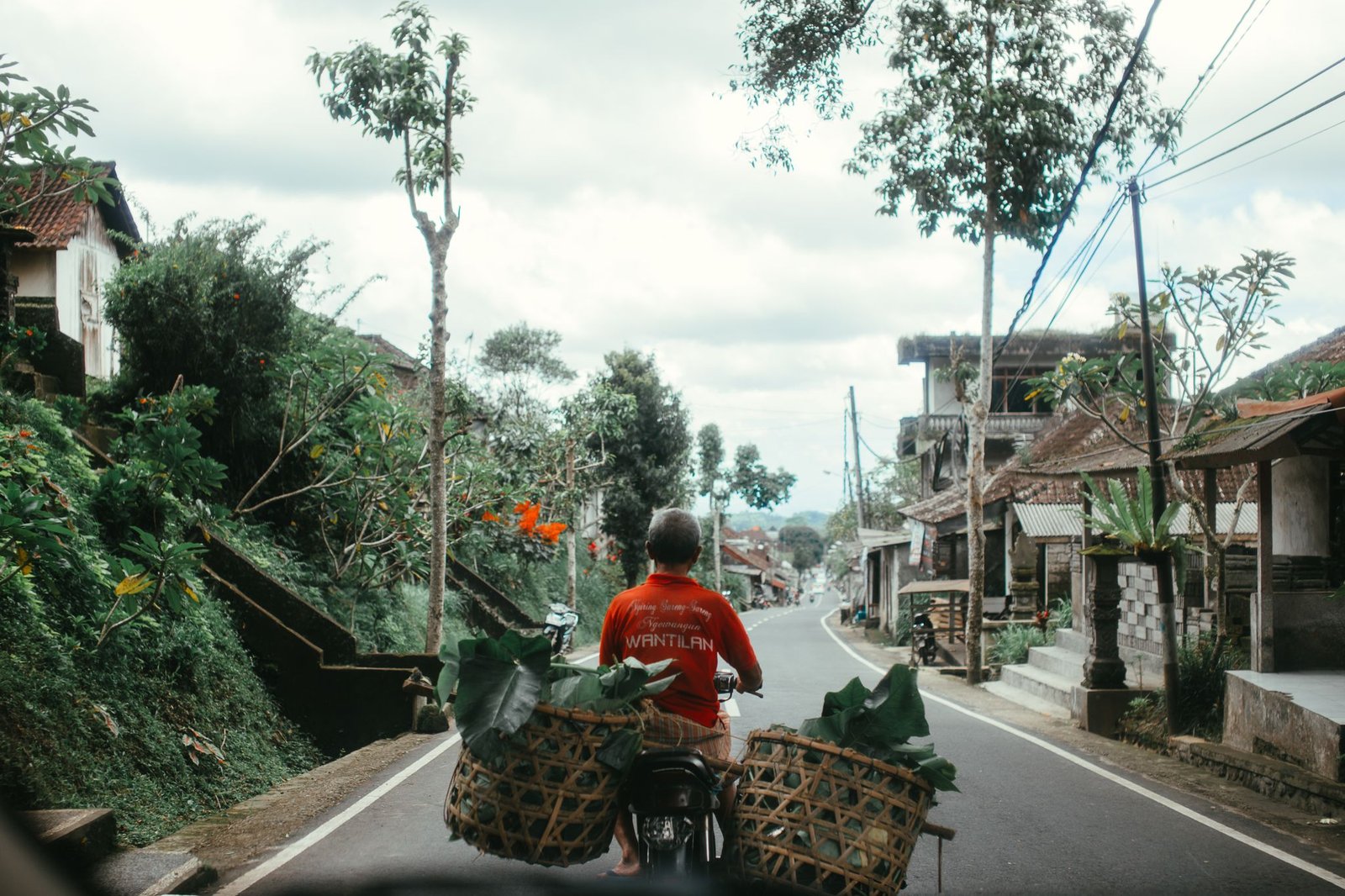 A man cycling through a scenic rural Southeast Asian road with baskets of foliage.